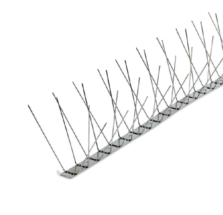 הרחקת יונים